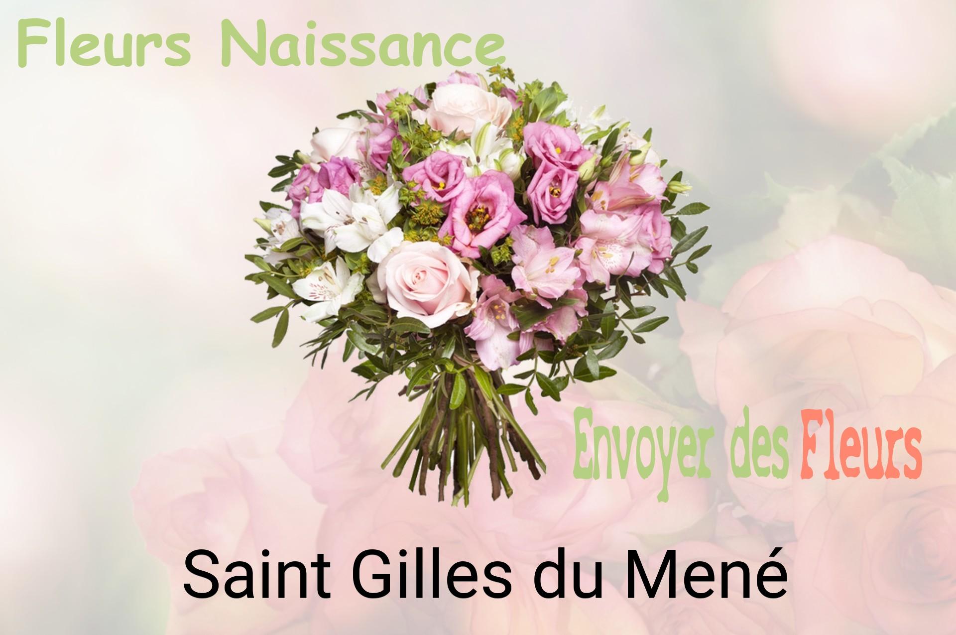 Bouquet de fleurs de naissance livré à Saint-Gilles-du-Mené